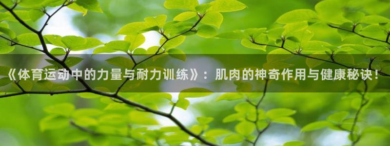 3377体育官网入口下载最新：《体育运动中的力量与耐力训练》：肌肉的神奇作用与健康秘诀！