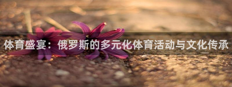 3377体育网页登录入口：体育盛宴：俄罗斯的多元化体育活动与文化传承