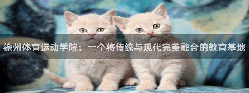 3377体育全网：徐州体育运动学院：一个将传统与现代完美融合的教育基地