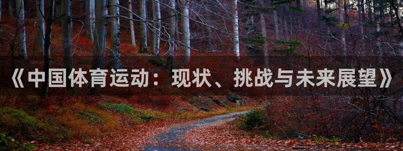 3377体育在线登录官网入口：《中国体育运动：现状、挑战与未来展望》