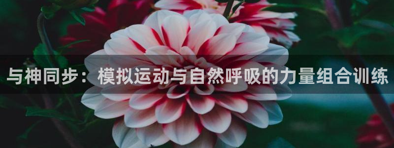 3377体育是正规的吗：与神同步：模拟运动与自然呼吸的力量组合训练