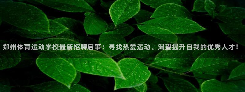 3377体育官网入口网页版：郑州体育运动学校最新招聘启事：寻找热爱运动、渴望提升自我的优秀人才！