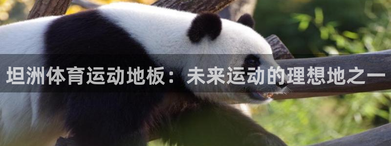 3377体育app下载安装