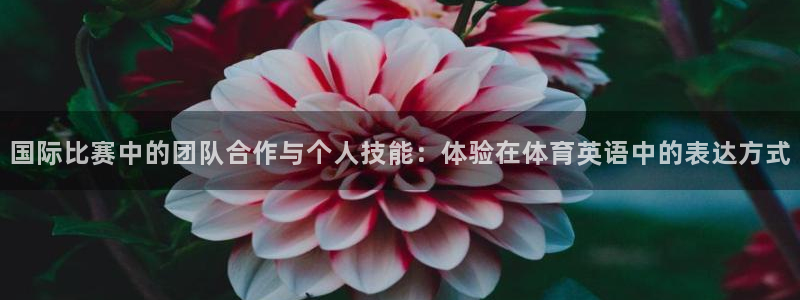 3377体育app官方下载：国际比赛中的团队合作与个人技能：体验在体育英语中的表达方式
