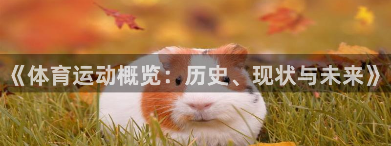 3377体育全网：《体育运动概览：历史、现状与未来》